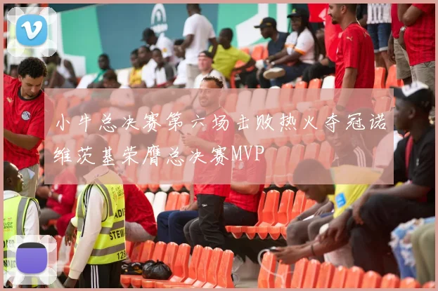 小牛总决赛第六场击败热火夺冠诺维茨基荣膺总决赛MVP