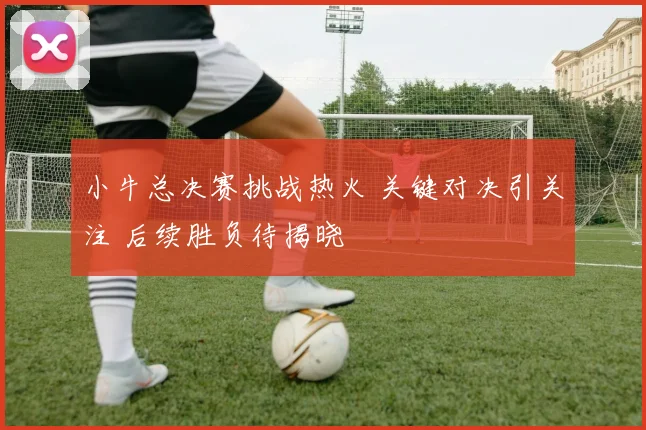 小牛总决赛挑战热火 关键对决引关注 后续胜负待揭晓
