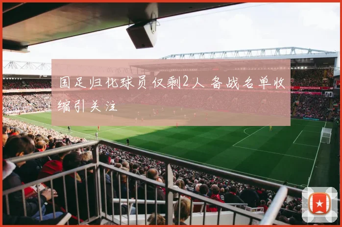 国足归化球员仅剩2人 备战名单收缩引关注