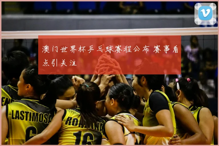 澳门世界杯乒乓球赛程公布 赛事看点引关注