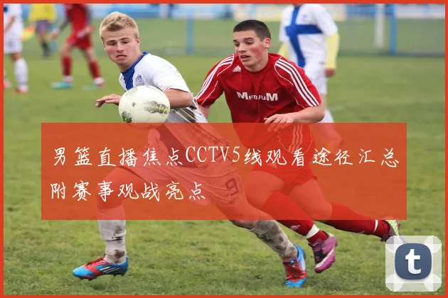 男篮直播焦点CCTV5线观看途径汇总附赛事观战亮点