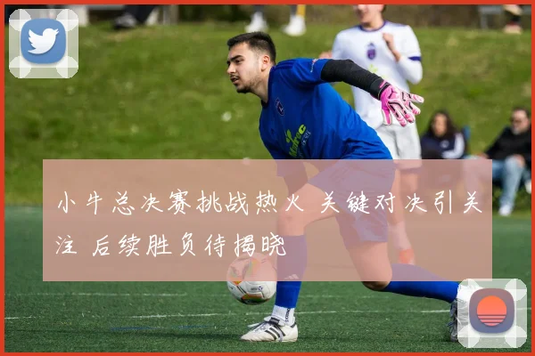 小牛总决赛挑战热火 关键对决引关注 后续胜负待揭晓