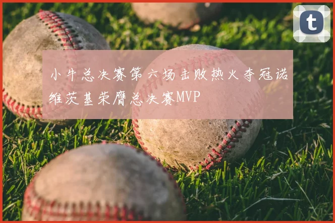 小牛总决赛第六场击败热火夺冠诺维茨基荣膺总决赛MVP