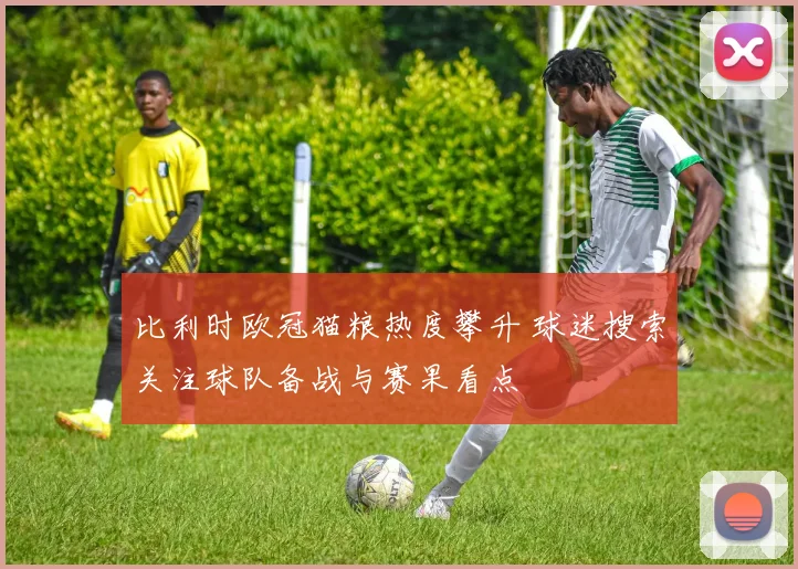 比利时欧冠猫粮热度攀升 球迷搜索关注球队备战与赛果看点