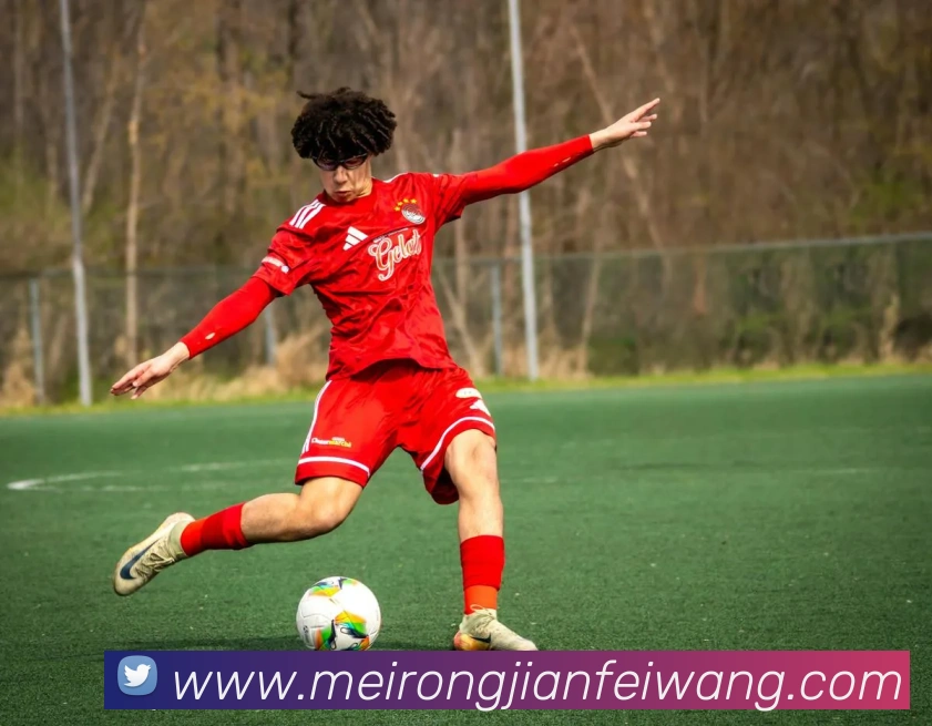 爱游戏网站主页入口平台生态图